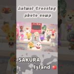 【あつ森】過酷すぎる写真周回🐾1／407枚#shorts