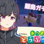 【超初見あつ森】さらば全てのタコヤ、、（離島ガチャ！！） #15【星波ななせ】