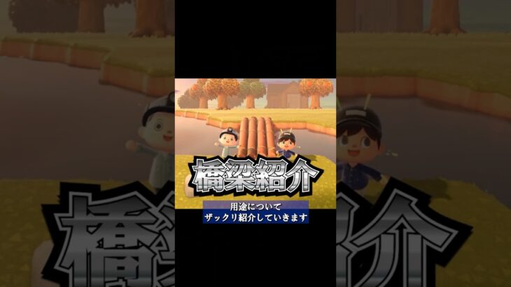 #15 橋の違いって知ってる？【どうぶつの森で学ぶ都市のしくみ】#shorts
