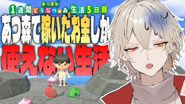 【あつ森】1週間あつ森で稼いだ金額しか使えない生活~5日目~【新人vtuber / 弐十】