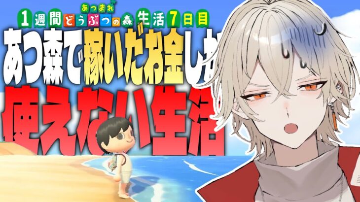 【あつ森】1週間あつ森で稼いだ金額しか使えない生活~7日目 最終回~【新人vtuber / 弐十】