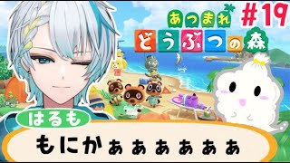 【#あつ森 】今日はどんな面白いことがあるかな？もにかぁぁ！！！！#19