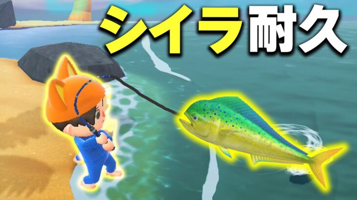 【あつ森】シイラ2匹耐久！魚コンプ秋 その2【あつまれどうぶつの森】