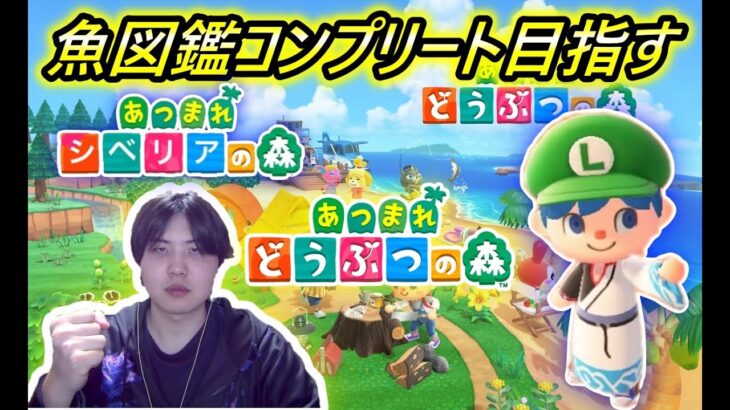 【達成】あつ森で魚の図鑑コンプリート目指す！2日目！【あつまれどうぶつの森】