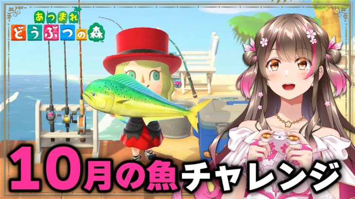 【あつ森】撒き餌200個で10月の魚をコンプできるか？！10月の魚釣りチャレンジ！【あつまれどうぶつの森 ライブ】