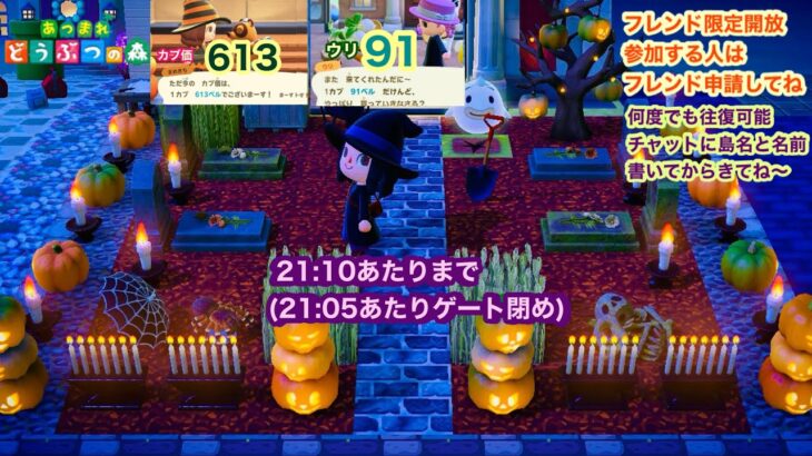【あつ森】2025,10/13 カブ価613&ウリ91(21:10あたりまで)【フレンド限定開放、参加する人はフレンド申請してね】