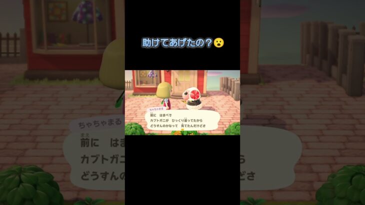 あつ森　#281　まったりしていきませんか？🐑✨️