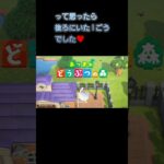あつ森 #283 まったりしていきませんか?🥰