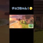 あつ森　#285　まったりしていきませんか？🐰🎵