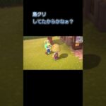 あつ森　#286　まったりしていきませんか？🐰🍐