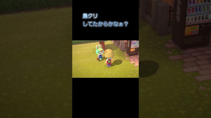 あつ森　#286　まったりしていきませんか？🐰🍐