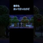あつ森　#291　まったりしていきませんか？🤗✨️