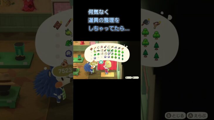 あつ森　#292　まったりしていきませんか？🦔✨️