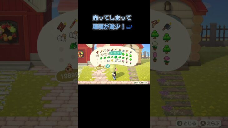 あつ森　#293　まったりしていきませんか？😻🎵