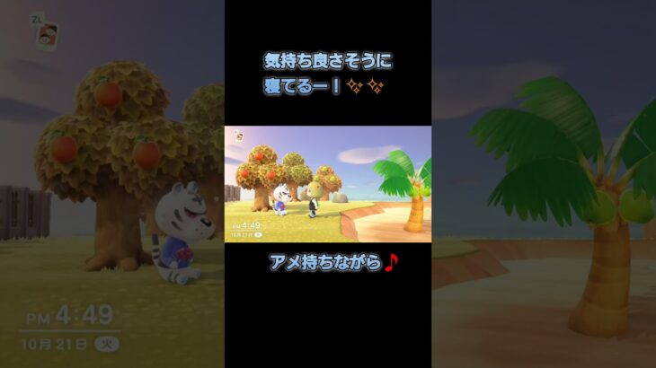 あつ森 #294.5 まったりしていきませんか?🥰少し編集し直したので見て下さい🎵