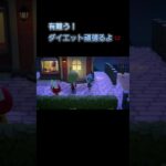 あつ森　#295　まったりしていきませんか？😺😼✨️