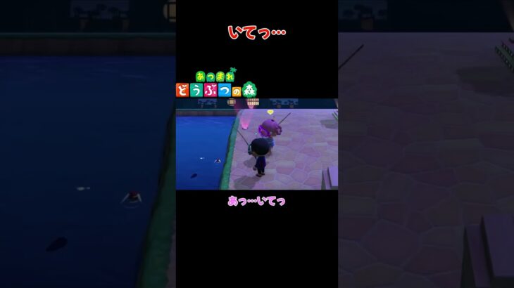 いてっ…【あつまれ どうぶつの森(おすそ分け・2人プレイ)】#shorts #あつ森 #animalcrossing #夫婦実況 #ゲーム実況