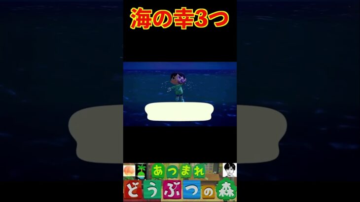 海の幸3つ #あつまれどうぶつの森 #shorts #あつ森