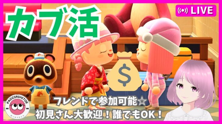 #331【あつ森】カブ活　初見さん大歓迎　誰でも参加OK！　あつまれどうぶつの森　参加型配信