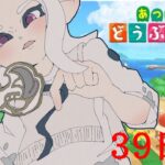 【あつ森】とある社長の無人島生活39日目 ～寝る前にちょっとだけ～