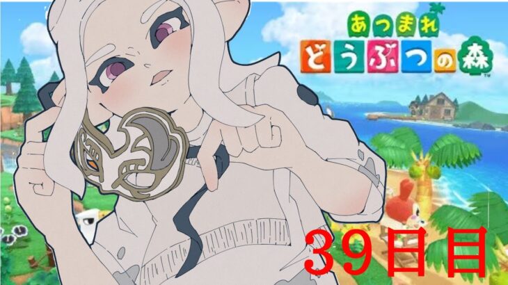 【あつ森】とある社長の無人島生活39日目 ～寝る前にちょっとだけ～