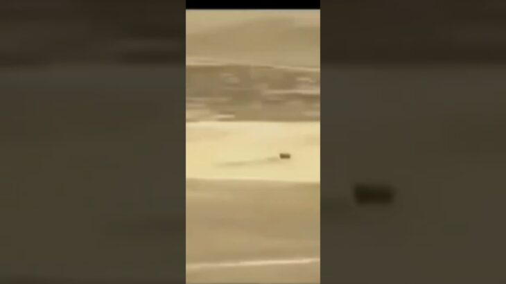 モモちゃんガチギレ4秒前💢#ふわにゃのあつ森アニメ