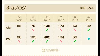 【あつ森】カブ402！高評価、チャンネル登録で来島無料！