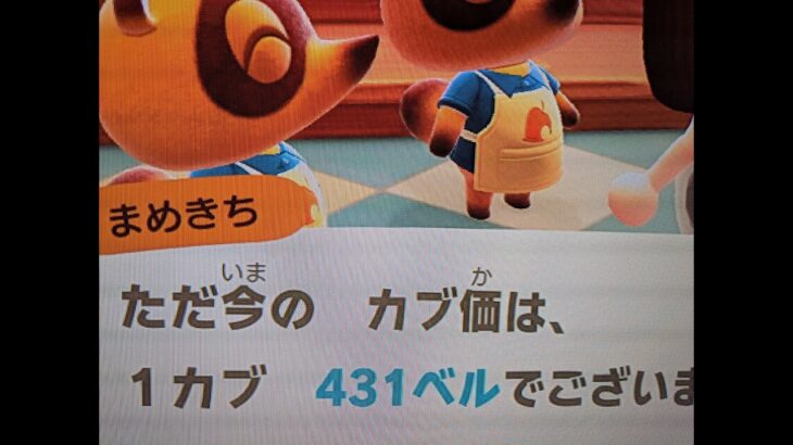 【あつ森】カブ431!高評価、チャンネル登録で無料売り放題!