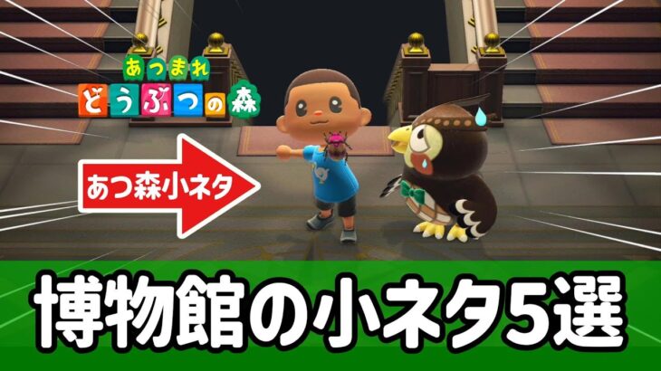 博物館の小ネタ5選！【あつ森】