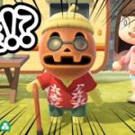 【あつ森】5年間やってるのにまだ初めましての人がいました【あつまれどうぶつの森】