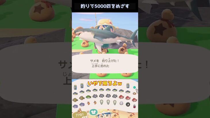 【あつ森】≪🎣5000匹≫　ここから釣り竿１００本🎣　　　　　　　　　　　　　　　　　　　　　　　　　 #あつまれどうぶつの森　 #ゆっくり実況
