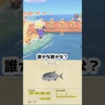 【あつ森】≪釣り5000匹≫楽しい楽しい桟橋釣り               #あつ森 #ゆっくり実況