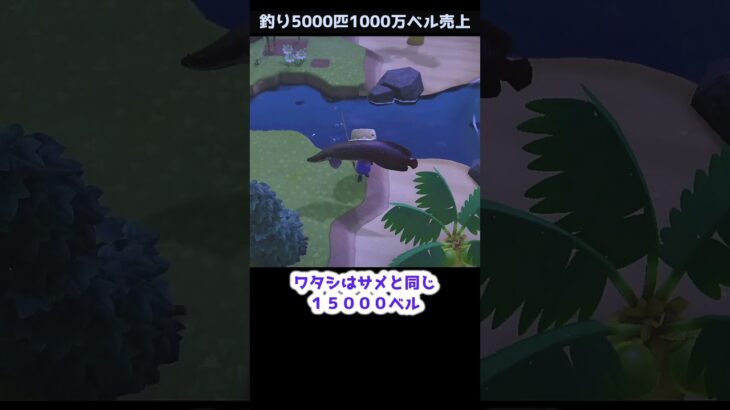【あつ森】≪釣り5000匹≫大きいだけが最強じゃない　　　　　　　　　　　　　　　　 #あつ森 #ゆっくり実況