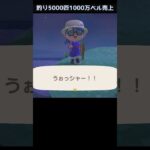 【あつ森】≪釣り5000匹≫釣りコンプ　その先へ　　　　　　　　　　　　　　　　 #あつ森 #あつまれどうぶつの森　 #ゲーム