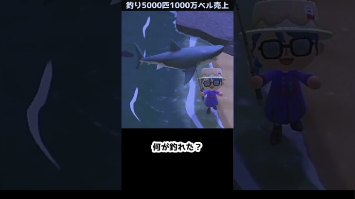 【あつ森】≪釣り5000匹企画≫　絶対に逃げないで！！　　　　　　　　　　　　　　 #あつまれどうぶつの森　#釣り