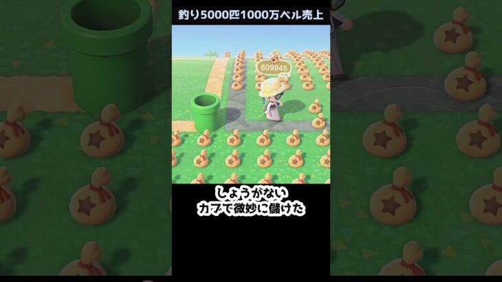 【あつ森】≪🎣5000匹≫　ついにたぬきちに屈する時が来ちゃった　　　　　　　　　　　　　　　　　　　　　　 #あつまれどうぶつの森　 #ゆっくり実況