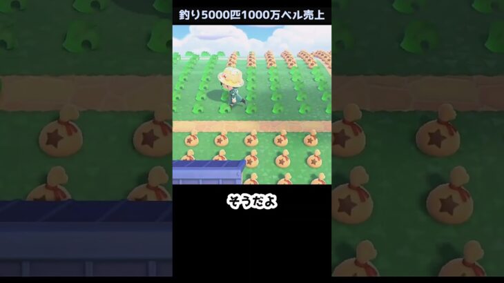 【あつ森】≪🎣5000匹≫　お高い不用品　　　　　　　　　　　　　　　　　　　　　　　　 #あつまれどうぶつの森　 #ゆっくり実況