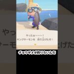 【あつ森】≪釣り5000匹≫チョウザメ釣りに向いてない季節　　　　　　　　　　　　　　　　　　　　　　　　　　　　　　　　　 #あつ森 #ゆっくり実況