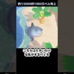 【あつ森】≪釣り5000匹≫テンションが上がる時　　　　　　　　　　　　　　　　 #あつ森　 #あつまれどうぶつの森 #ゆっくり実況