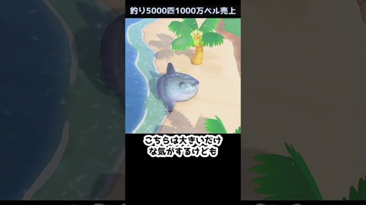 【あつ森】≪釣り5000匹≫テンションが上がる時　　　　　　　　　　　　　　　　 #あつ森　 #あつまれどうぶつの森 #ゆっくり実況