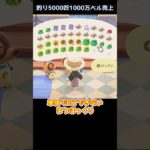【あつ森】≪🎣5000匹≫　収納を1200こ空けれるか？　　　　　　　　　　　　　　　　　 #あつまれどうぶつの森　 #ゆっくり実況