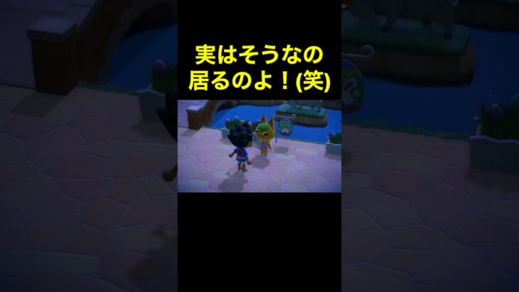 【実は…居る！あつ森#515】#shorts#switch#あつ森#あつまれどうぶつの森#ゲーム