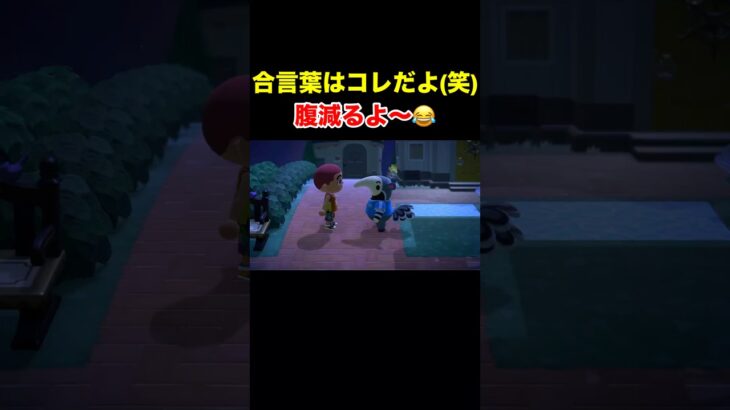 【腹が減る合言葉(笑)あつ森#517】#shorts#switch#あつ森#あつまれどうぶつの森#ゲーム