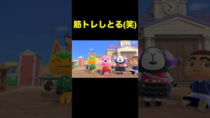 【筋トレ(笑)あつ森#522】#shorts#switch#あつ森#あつまれどうぶつの森#ゲーム