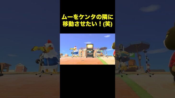 【思うようにならん！(笑)#524】#shorts#switch#あつ森#あつまれどうぶつの森#ゲーム
