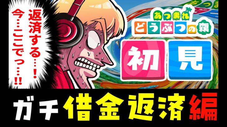(生放送6日目)もしも１度もどうぶつの森をプレイしたことがない人が今からあつ森を始めたらどうなるのか？【あつ森】