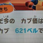 【あつ森】カブ621！高評価、チャンネル登録で無料売り放題！