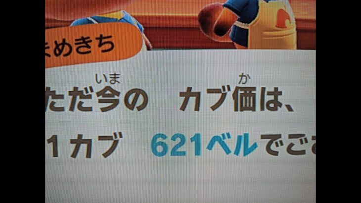 【あつ森】カブ621!高評価、チャンネル登録で無料売り放題!