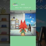 【ハピパラ】6×6 サニーサーフスタンド🏄🏼‍♀️【あつ森】
