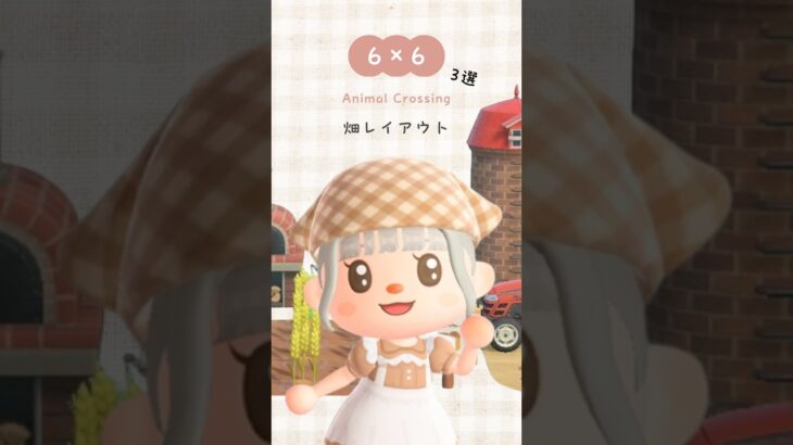 6×6 畑レイアウト3選 🌾 #あつ森 #あつまれどうぶつの森 #あつ森レイアウト #animalcrossingnewhorizons #acnh